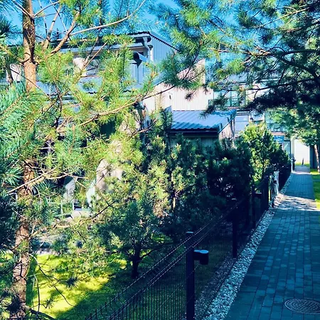 Ciki Puki Saulelydis Palanga