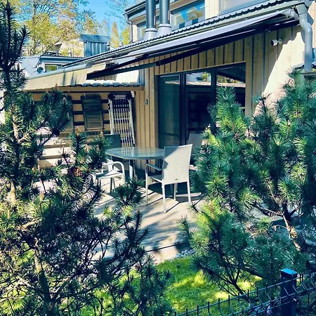 Ciki Puki Saulelydis *