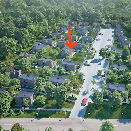 Ciki Puki Saulelydis Palanga