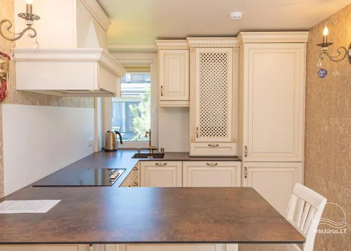 Ciki Puki Saulelydis Appartamento Palanga