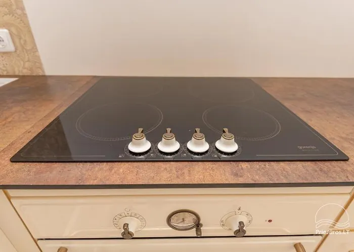 Ciki Puki Saulelydis *