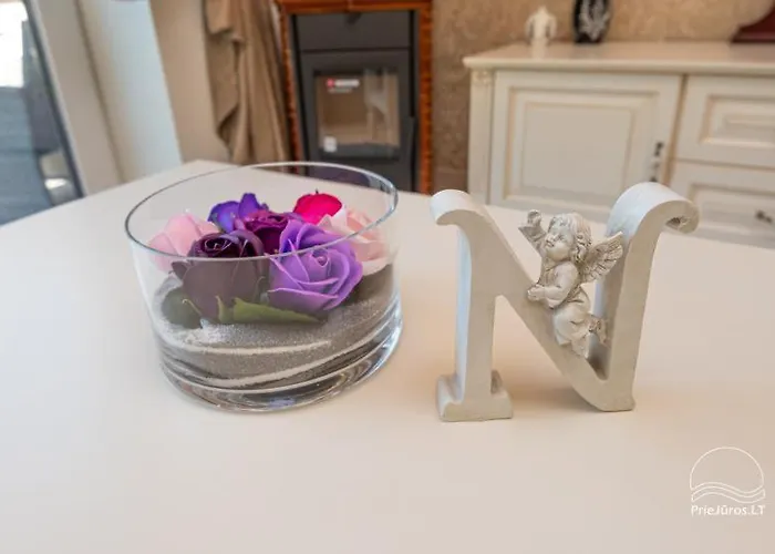 Ciki Puki Saulelydis Appartamento Palanga