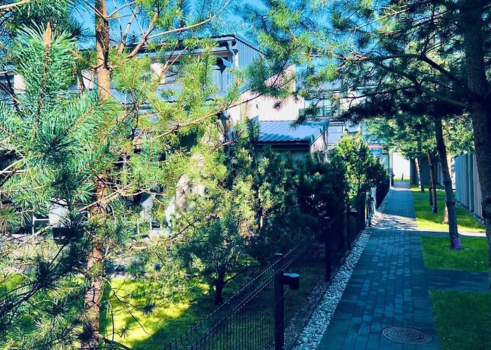 Ciki Puki Saulelydis Palanga