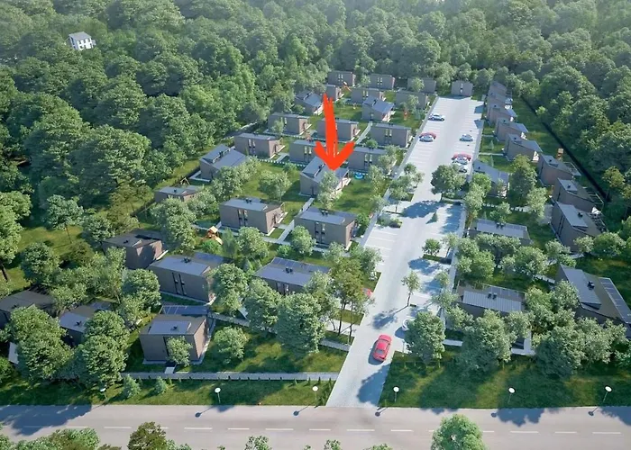 Ciki Puki Saulelydis Palanga